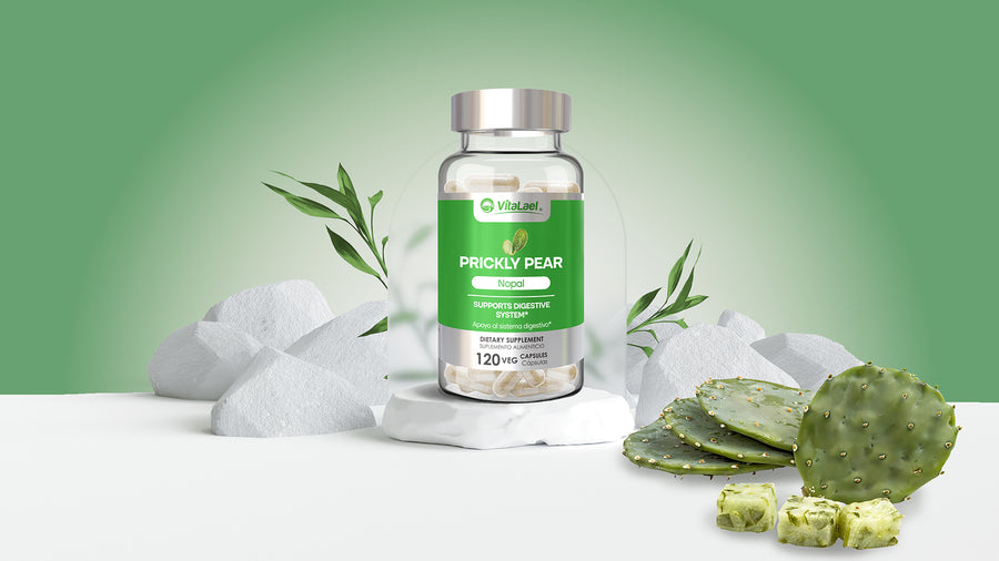 Nopal