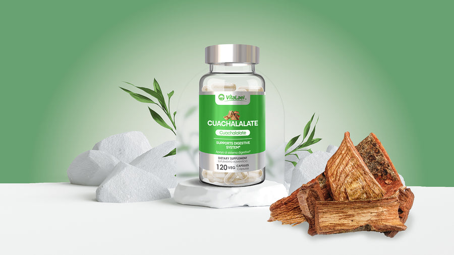 Cuachalalate