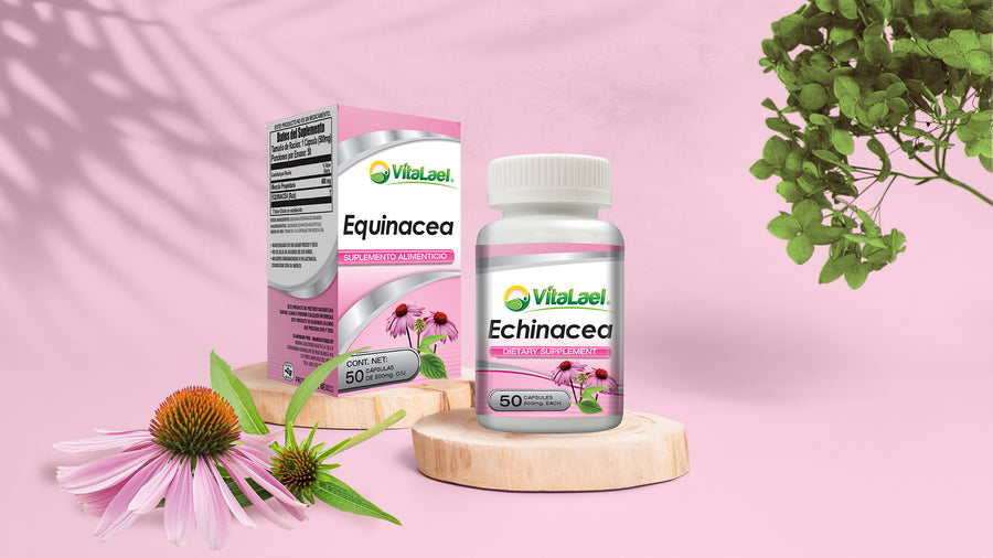 Equinácea