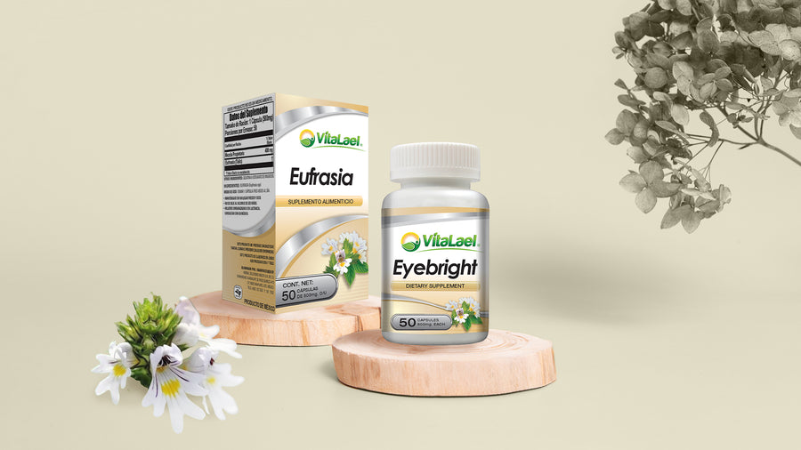 Eufrasia