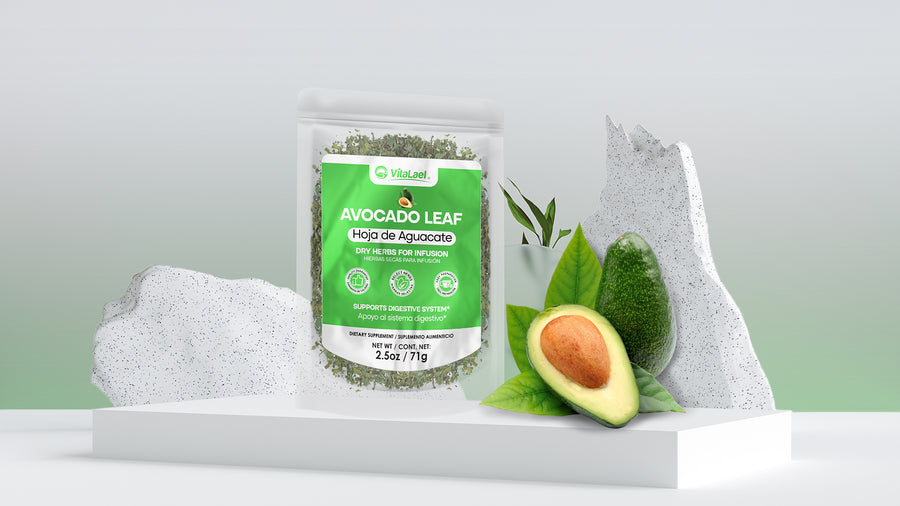 HOJA DE AGUACATE