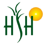 Herbal Solutions